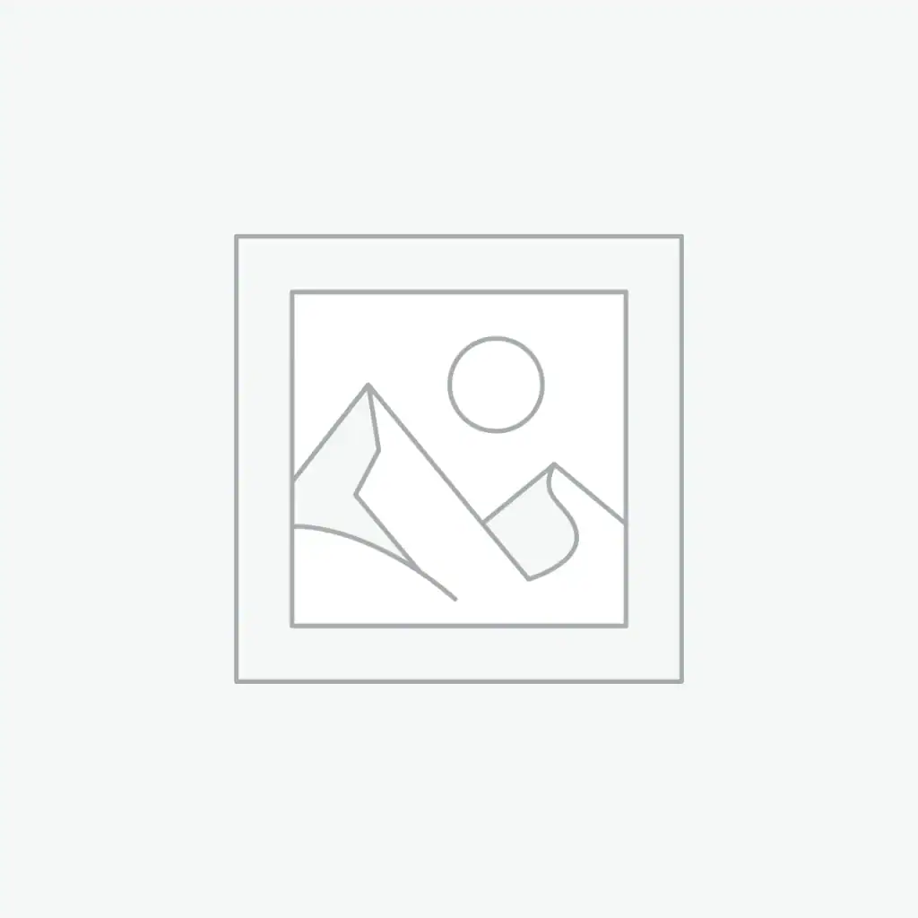 Gray placeholder image icon with mountains and sun